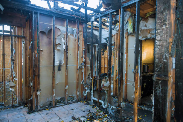 Professional Fire Damage Repair technician working in Anoka, MN