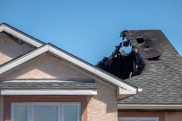 Top rated local Fire Damage Repair specialists in Anoka, MN